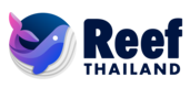 Reefthailand